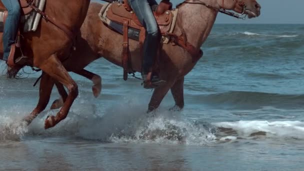 Super Slow Motion Shof Women Riding Horses Beach Oregon Shot — стоковое видео