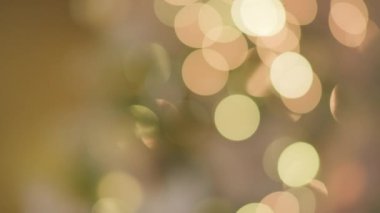 Noel için dekore edilmiş Noel Ağacı.