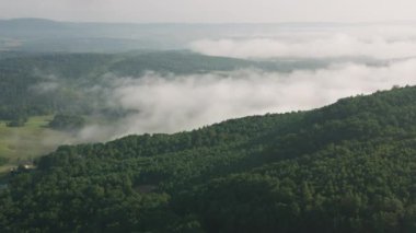 Yeşil kırsal manzara hava görüntüsü videosu