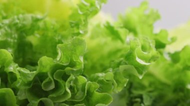 Yakın plan taze marul ve su.