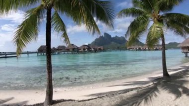 Bora Bora 'da tatil köyünde palmiye ağaçları, Fransız Polinezyası.