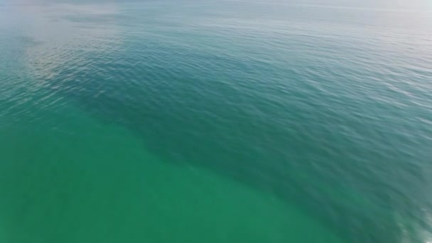佛罗里达 迈阿密海岸线镜头 — 图库视频影像