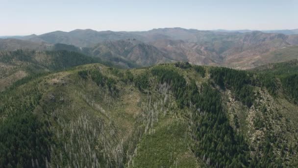 Oregon Coast Etwa Bis 2019 Luftaufnahme Der Oregon Coast Range — Stockvideo