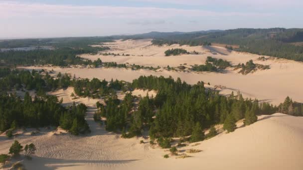 Oregon Coast Etwa Bis 2019 Luftaufnahme Der Sanddünen Der Oregon — Stockvideo