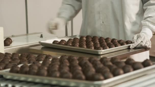 공장의 트레이에 초콜릿 — 비디오