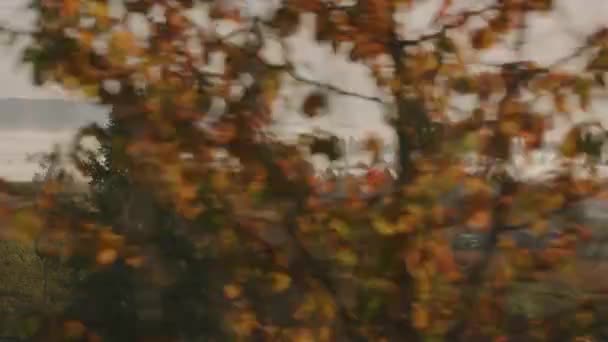 Sunrise Shot Willamette Valley Oregon Farmlands Tourné Avec Cardan Cineflex — Video