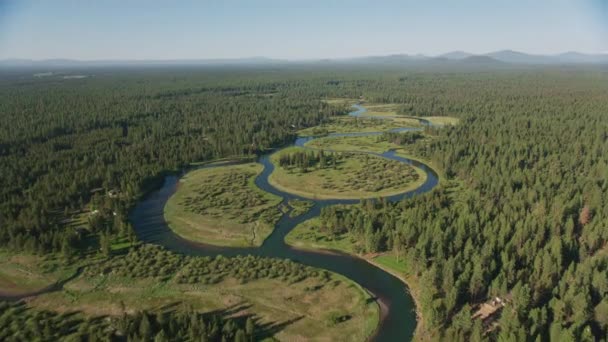 Merkez Oregon 2019 Dolaylarında Deschutes Nehri Nin Havadan Görünüşü Helikopterden — Stok video