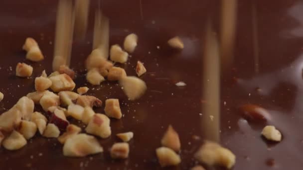Frutos Secos Que Caen Sobre Chocolate Derretido — Vídeos de Stock