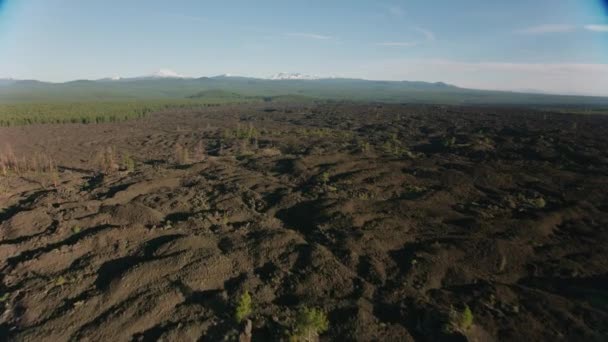 オレゴン州中部 2019年頃 溶岩流の空中ビュー シネフレックスジンバルとRed 8Kカメラでヘリコプターから撮影 — ストック動画