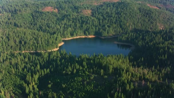 Lake Yosemite National Park Usa Letecké Záběry — Stock video