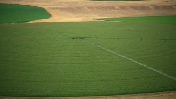 Oregon Circa 2021 Luchtfoto Van Boerderijen Aan Columbia River Gorge — Stockvideo