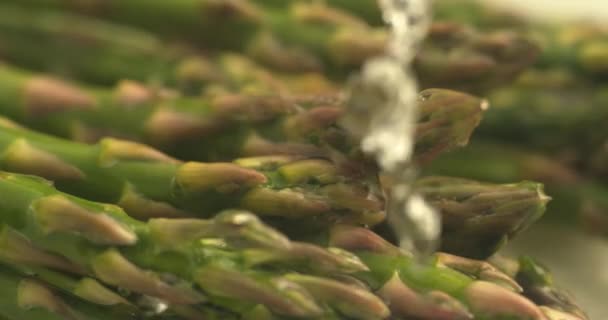 Woda Tryska Szparagi Bardzo Zwolnionym Tempie Nakręcony Szybkim Aparacie Phantom — Wideo stockowe