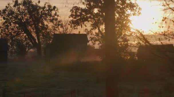 Sunrise Shot Willamette Valley Oregon Farmlands Fotografía Con Gimbal Cineflex — Vídeo de stock