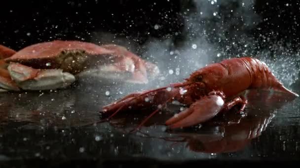 Percikan Air Permukaan Dengan Lobster Dan Kepiting Dalam Gerakan Lambat — Stok Video
