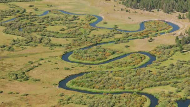 緑の高地と湖の空撮 ニューベリー アメリカ — ストック動画