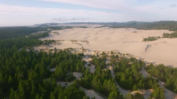 Oregon Coast Circa 2019 Letecký Pohled Písečné Duny Pobřeží Oregonu — Stock video