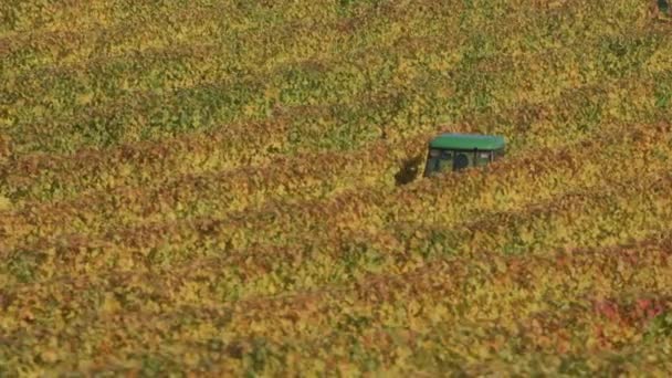 秋季威拉米特山谷葡萄园的追踪镜头用Cineflex Gimbal和Red 8K相机拍摄 — 图库视频影像