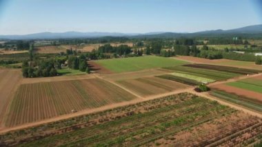 Oregon, ABD 'deki tarım arazilerinin hava görüntüleri.