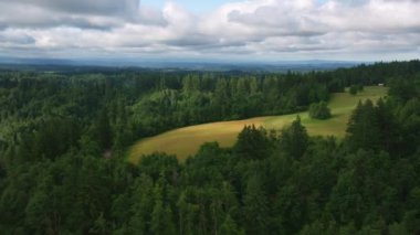 Oregon dolayısı ile 2021: tarım arazilerinin havadan görünüşü. Helicopter 'dan Cineflex ve RED 8K.