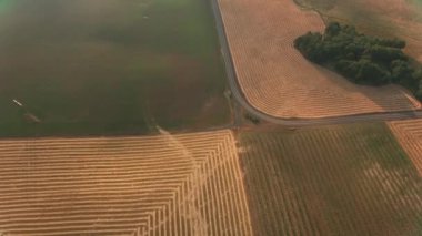 Güney Oregon 'daki Kayalıkların üzerinden uçuyor..