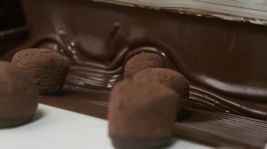 Çikolatalı trüf mantarı şeker fabrikasında konveyör bandında