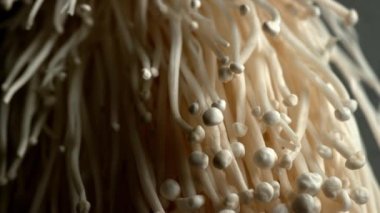 Enoki mantarı, Phantom Flex 4K kamerasında yakın çekim yiyecek görüntüsü.