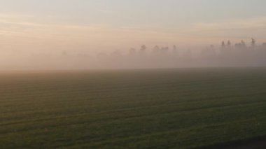 Willamette Valley Vineyards in Fall 'ın çekimleri. Cineflex gimbal ve RED 8K kamera ile çekildi.