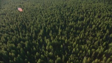 Cascade Dağları, 2019 dolaylarında. Ormanın havadan görünüşü. Helikopterden Cineflex gimbal ve RED 8K kamerayla çekildi..