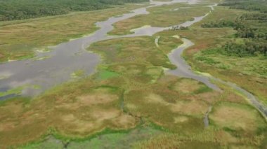 Georgia 2019 dolaylarında. Savannah, Georgia 'nın havadan görünüşü. Helikopterden Cineflex gimbal ve RED 8K kamerayla çekildi..