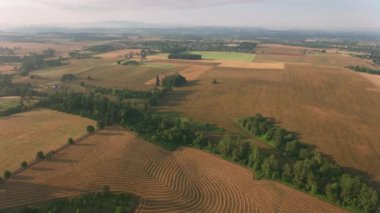 Güney Oregon 'daki Kayalıkların üzerinden uçuyor..