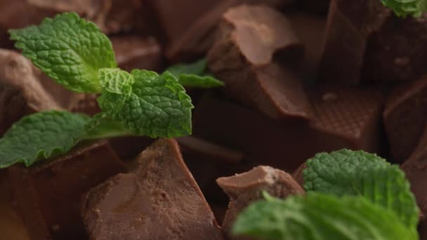 Nane Yapraklı Çikolata Parçaları Yakın Plan — Stok video