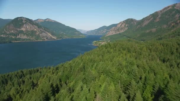 Oregon 2021 Luftaufnahme Der Columbia River Gorge Aufnahme Mit Cineflex — Stockvideo