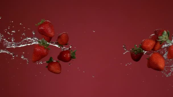 草莓和水慢动作地碰撞着 被幻影Flex 4K射中 — 图库视频影像