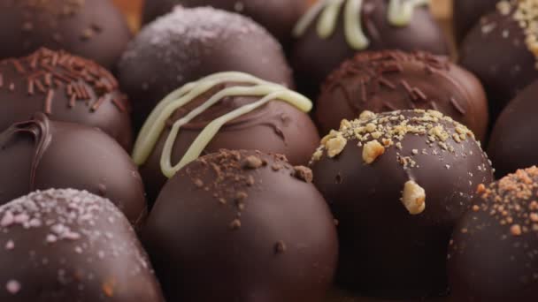 Sortimento Trufas Chocolate — Vídeo de Stock