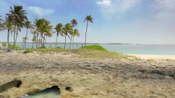 バハマのナッソー ヤシの木と岩のビーチがある小さな熱帯の島の空中ショット — ストック動画