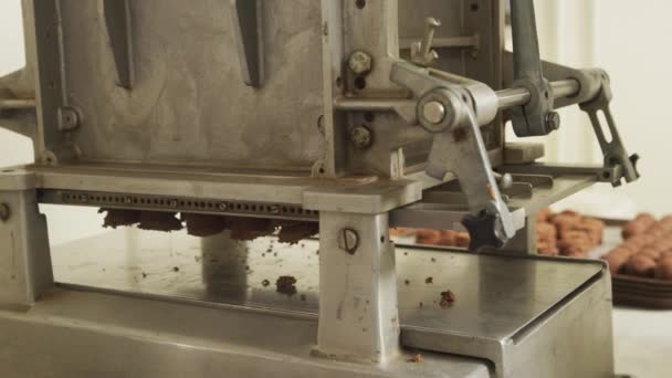 Çikolata Fabrikasında Trüf Mantarı Yapıyorum — Stok video