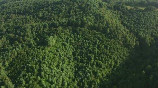 Verde Paisaje Rural Vista Aérea Vídeo — Vídeo de stock