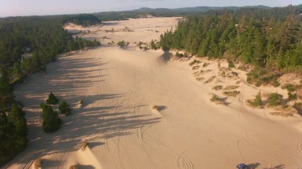 Oregon Coast Circa 2019 Letecký Pohled Písečné Duny Pobřeží Oregonu — Stock video