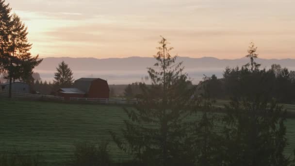 Soluppgång Bild Willamette Valley Oregon Jordbruksmark Skott Med Cineflex Gimbal — Stockvideo