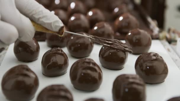 Çikolatalı Trüf Mantarı Şeker Fabrikasında Konveyör Bandında — Stok video