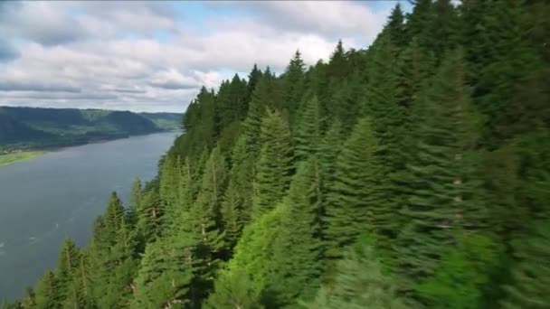 Oregon Circa 2021 Vista Aérea Vista House Crown Point Columbia — Vídeo de Stock