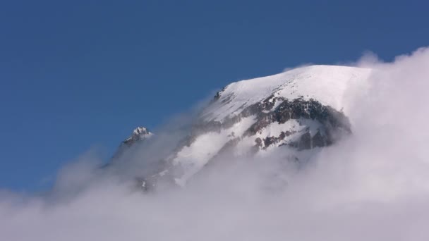 Mount Rainier Washington Circa 2019 Vista Aérea Del Monte Rainier — Vídeos de Stock