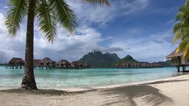 Timelapse Vista Del Complejo Bora Bora Polinesia Francesa — Vídeos de Stock