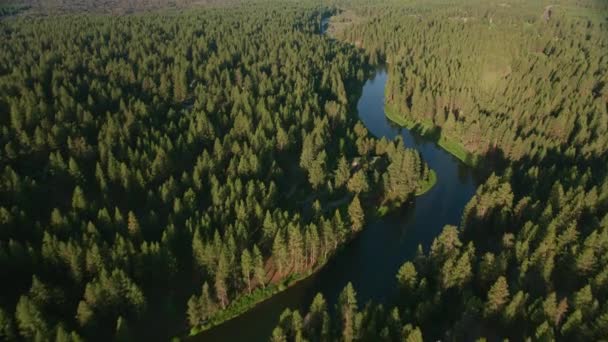 Cascade Mountains Circa 2019 Luchtfoto Van Deschutes River Schot Vanuit — Stockvideo