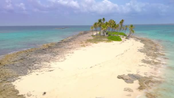 Nassau Bahamas Ripresa Aerea Una Piccola Isola Tropicale Con Palme — Video Stock