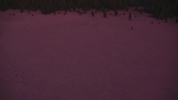 美国加利福尼亚州莫诺湖的粉色日出 — 图库视频影像