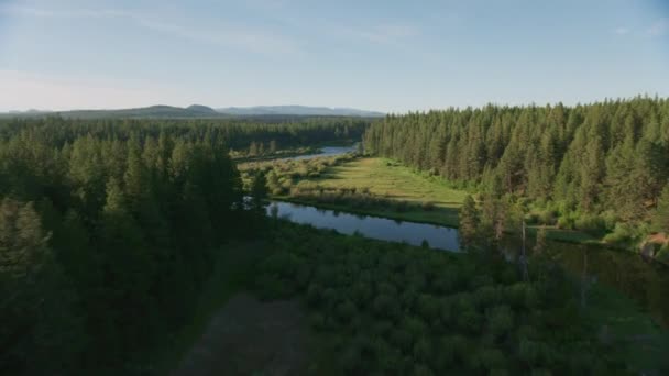 Cascade Mountains Circa 2019 Luchtfoto Van Deschutes River Schot Vanuit — Stockvideo