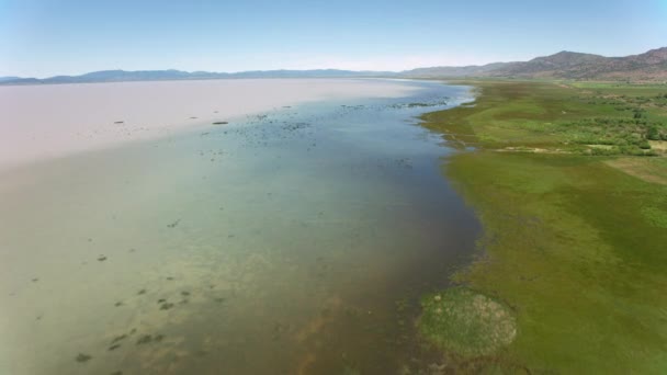 Nevada Usa Circa 2019 Aerial View Lake Marshy Shore Shot — Stock Video