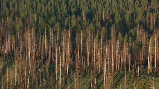 Yosemite California Yosemite Ulusal Parkı Nın Havadan Görünüşü — Stok video