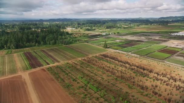 Oregon Circa 2021 Luchtfoto Van Landbouwgrondpatronen Schot Met Cineflex Van — Stockvideo